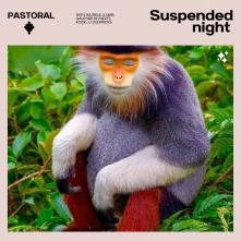 Suspended Night Cover